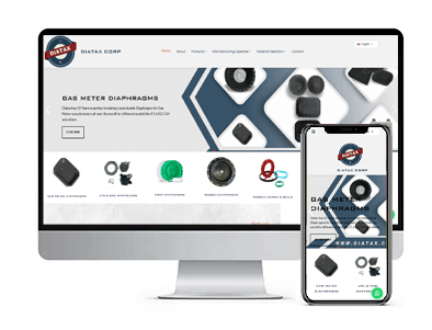 SEO friendly Website Designing services
