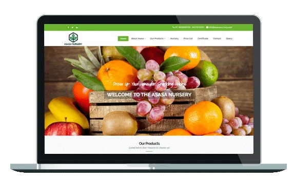 top website designing company Noida for Nursery