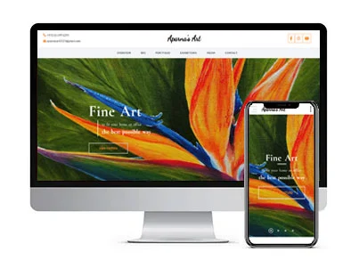 Website Designing Delhi for authors